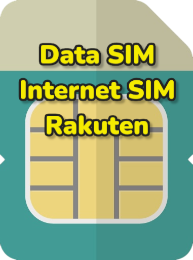 Data SIM (Internet SIM) 3-12months
