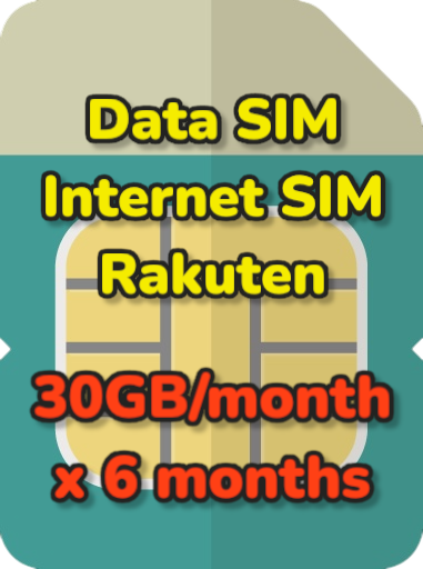 30GB/month*6months Data SIM