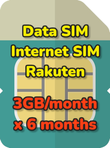 3GB/month*6months Data SIM