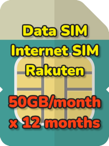 50GB/month*12months Data SIM
