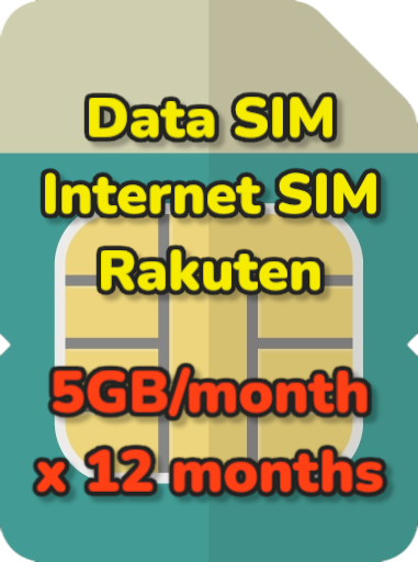 5GB/month*12months Data SIM