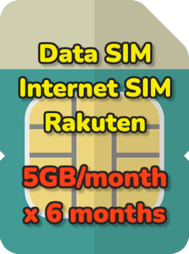 5GB/month*6months Data SIM